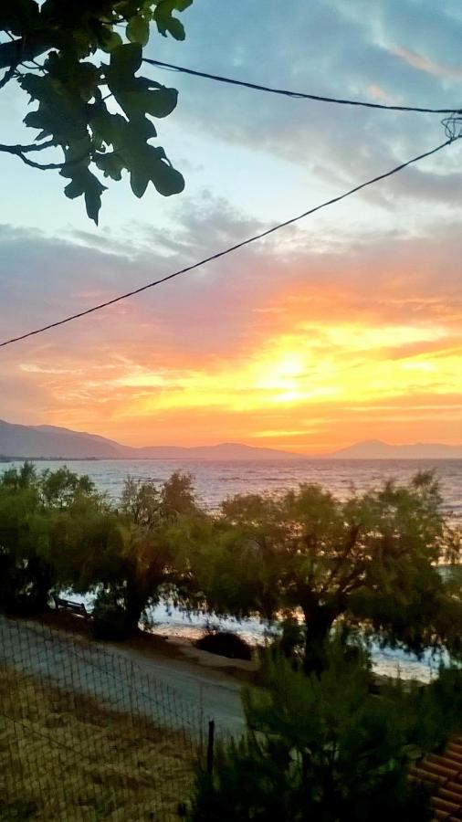Paralia Platanou Seaview House 外观 照片